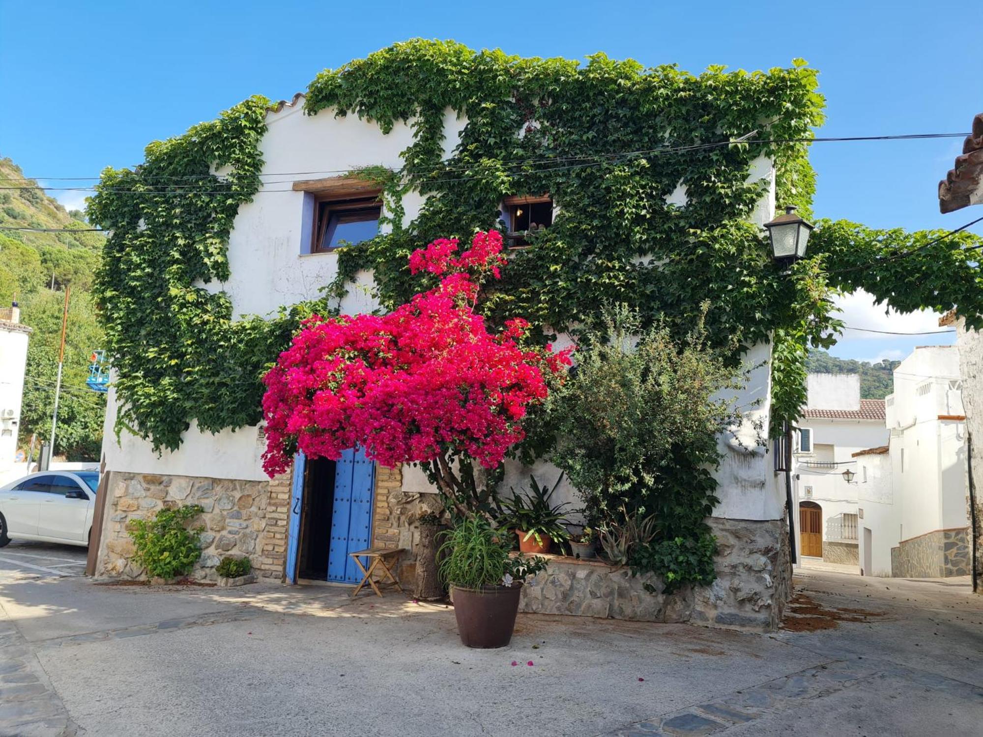 Casa La Yedra By Casaturistica Villa Benarraba Bagian luar foto
