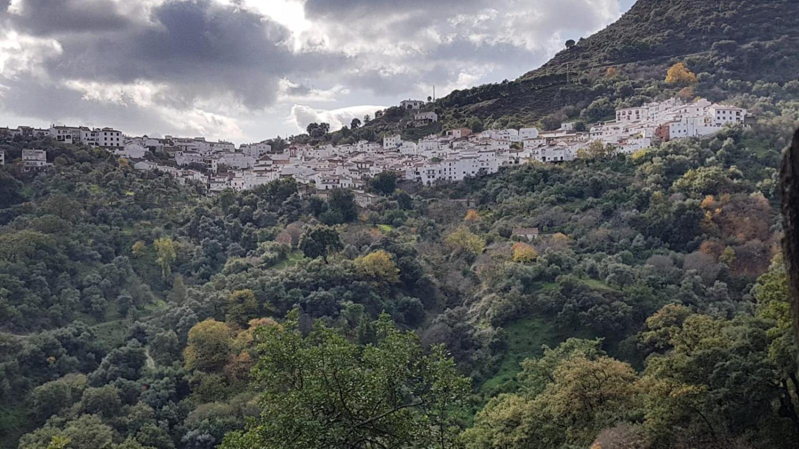 Casa La Yedra By Casaturistica Villa Benarraba Bagian luar foto